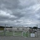 펫-오션 이미지