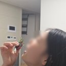 수원참치 | 수원 오늘도참치정육점 화서본점, 3만원대로 즐기는 수원 참치 가성비 미쳤다 포장 후기