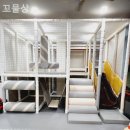 돌마로366번길 이미지