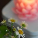 세븐일레븐 응암중앙점 이미지