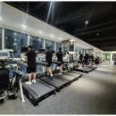 피트니스 엘 이미지