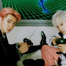 댕댕댕 Daum카페