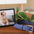 24시부분정비 이미지