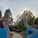 장자호수생태공원 | (장자호수생태공원)2025 구리 빛 축제