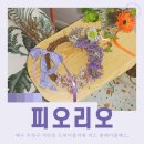 대구 수성구 꽃집 피오리오 드라이플라워 리스 만들기 원데이클래스
