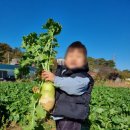 예일농장 이미지