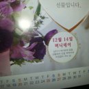 머니데이