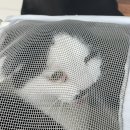 왜관동물병원 이미지