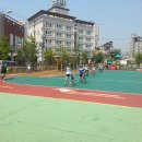 화정태권도 이미지