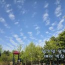 어머니의 노래 - 이아경 메조소프라노 (최현석 곡/이태극 시조) 이미지