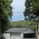 제주유유자적 | 귀여운 오리가 반겨주는 제주 서귀포 힐링 정원 카페 담소요 제주 [서울촌놈 내돈내산 솔직후기]