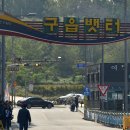 구읍뱃터 이미지