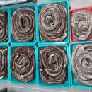 정든소문난순대국 이미지