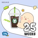 가현스시 | 4월 일상_4 (임신 24주차 / 산전 필라테스 / 오마카세 데이트 / 말차 수혈 / 일본 즉흥 여행 / 노르딕...