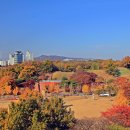 평화의 문 이미지