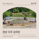 창녕동물병원 | 경남 아이랑 가볼만한 곳│창녕 우포승마장 재방문 솔직후기