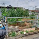 세림카센타 네이버블로그