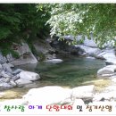 화음동민박 Daum카페