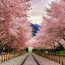 옥계2공단로2-4 이미지