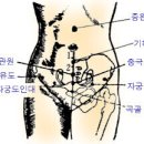 경 혈(혈자리) : 뜸 자 리 이미지