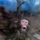 동물원 세이프타임즈