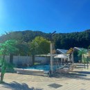 리포레 | 리포레 풀램핑 가평 신상 수영장 있는 글램핑