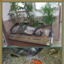 소사보건소(소사구청) 이미지