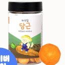 댕댕이연구소 이미지
