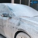 셀세모 금붕점 이미지