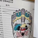 알즈너마음