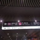 리세주 Daum카페