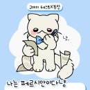 고야미 이미지