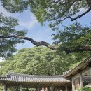 초록풍경 | 서산 부석사 여행 후기｜한여름 초록빛 풍경 속 고요한 사찰, 지금은 단풍이 물든 가을 명소로