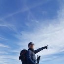 삐돌이네 이미지