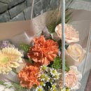 스노우플레르