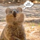 수연목장 | [10월 일기] 서늘하고 따뜻한