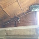 정원오리농장 이미지