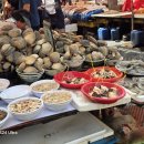 자갈치시장 이미지