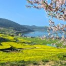 소수보건지소 이미지