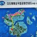 2025-6/26(목)신안 1004의섬 도초도 수국축제-팽나무 숲길10리 트래킹 이미지