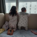 [혜강일기] 강이 첫 눕 낮잠 성공...🥹❤️ + 부가부 휠보드 최고👍