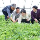 성주군 APC 이미지