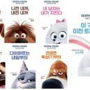 마이펫 이미지