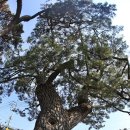 신방초등학교 이미지