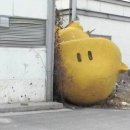 화니안경 | 사람이 너무 많이 자면 바보되거나 그러진 않나요•••