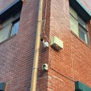 개성고등학교 이미지