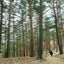 세한자동차정비공장 이미지