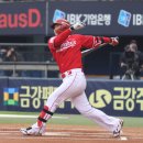 497 이미지