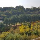 광교에듀공인중개사사무소 이미지