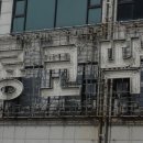 공룡코딱지 이미지